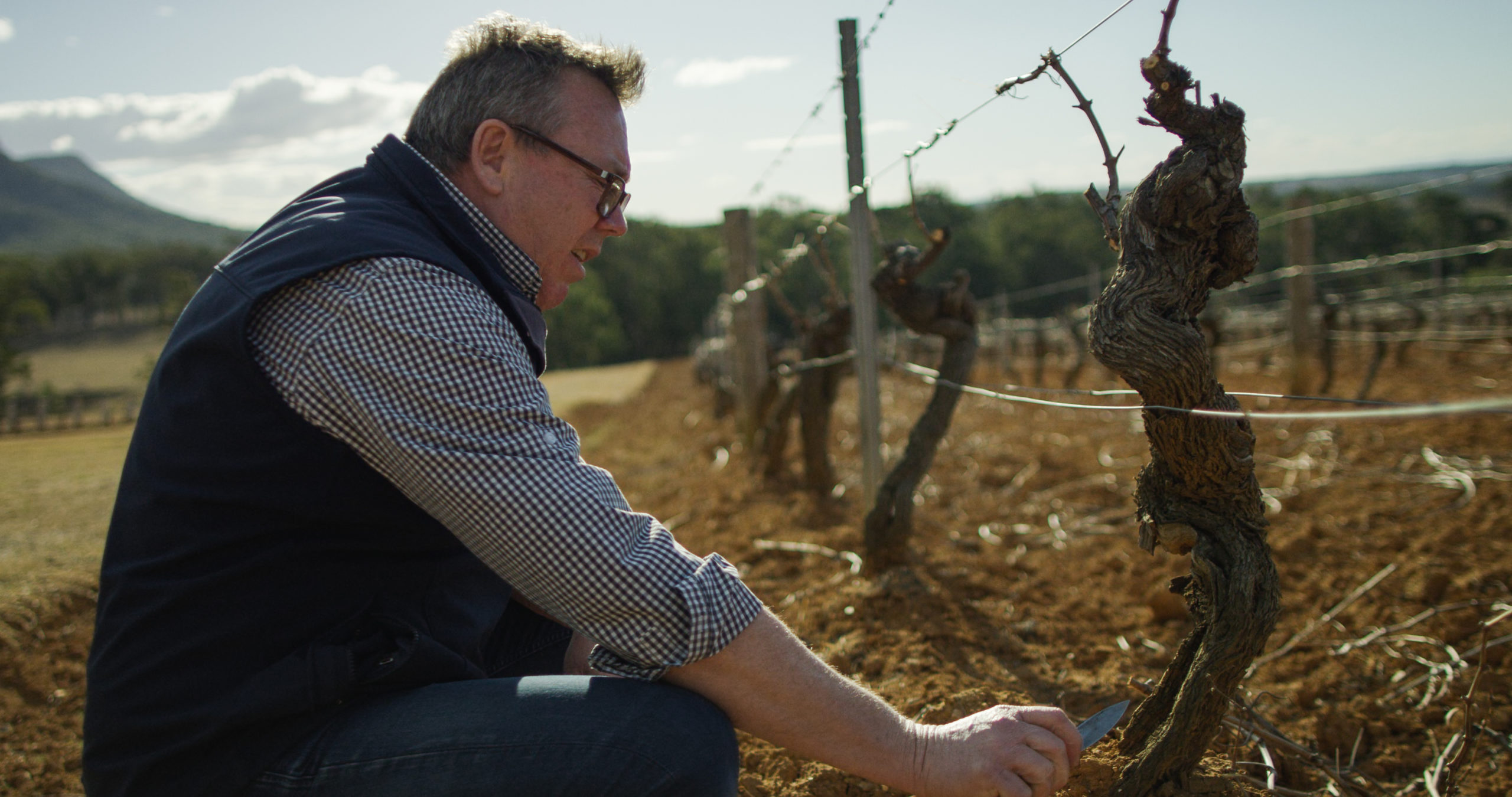 Nematodes  Wine Australia