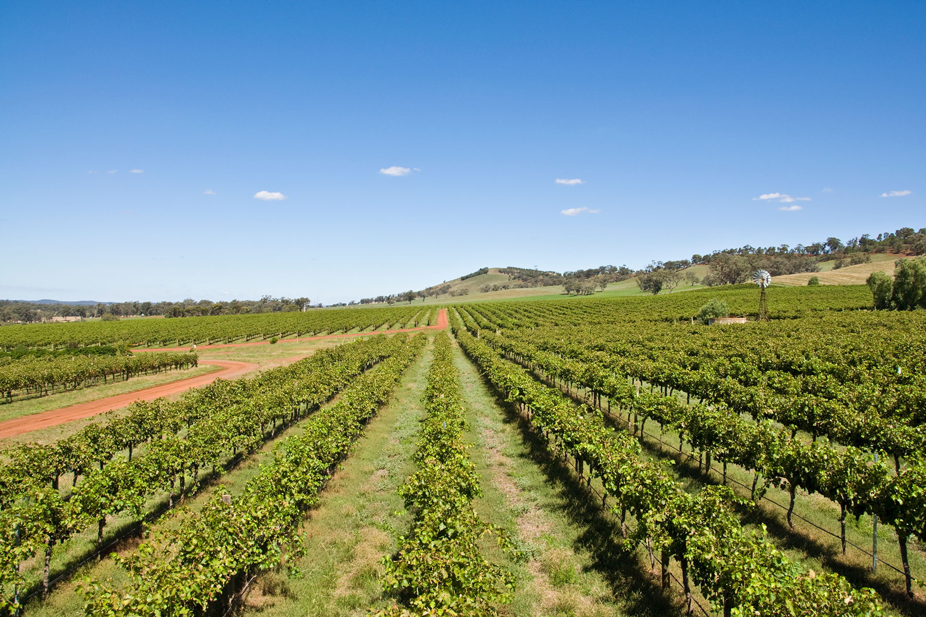 2022 Rufus Stone Heathcote Shiraz - Tyrrell's