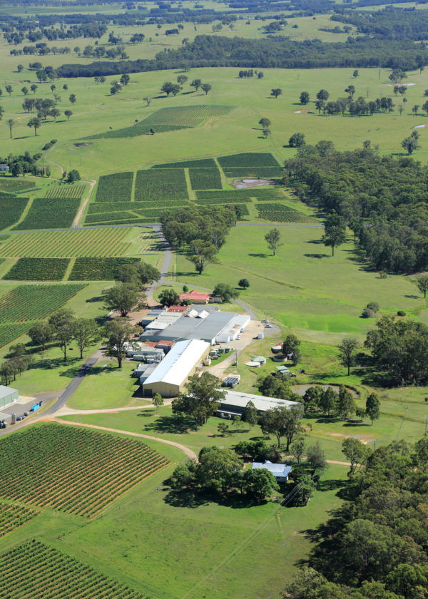 Image of Tyrrell's 2022 Estate Grown Chardonnay
