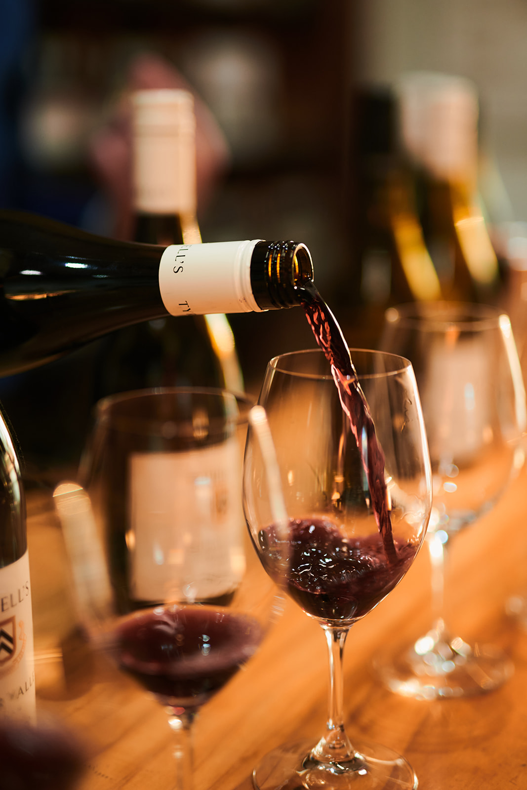 Tyrrell's Wine Tasting & Dinner at Coogee Wine Room 13 October 2022